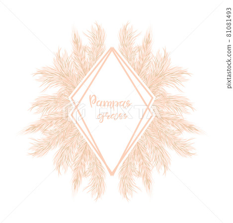 Dry Pampas grass Card template with copy space. Floral ornamental grass decor for invitations, postcards . Vector illustration.  81081493