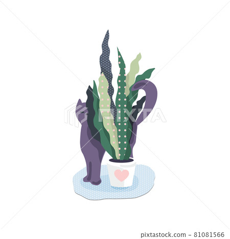 Cute vector illustration with a cat peeking out from behind the leaves. Isolated background. Stickers, postcards, decorations. Cute vector illustration with a cat peeking out from behind the leaves. Isolated background. Stickers, postcards, decorations. 81081566