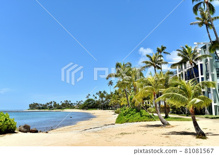 夏威夷的假期 夏威夷的假期 81081567