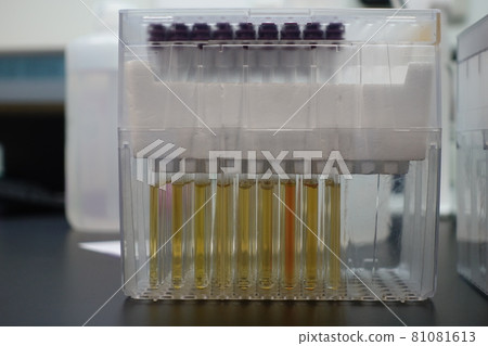 science experiment science experiment 81081613