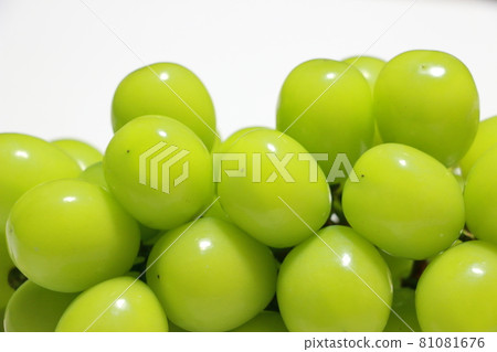 Shine Muscat 81081676