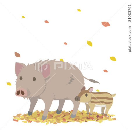 Wild boar parent and child in the autumn field 81083761