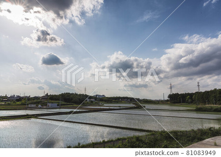 Japanese countryside Japanese countryside 81083949
