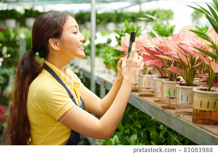 Flower Nursery Manager Taking Photos Flower Nursery Manager Taking Photos 81083988