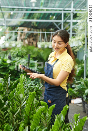 Manager Collecting Plant Order 81084015