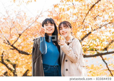 Two women traveling during the fall foliage season Two women traveling during the fall foliage season 81084459