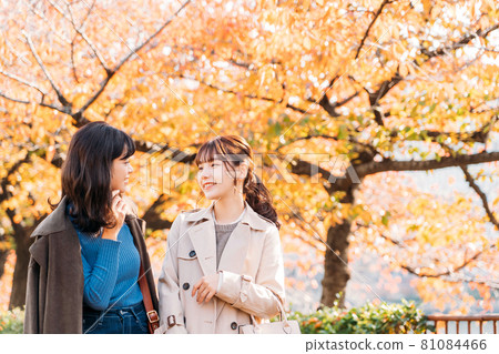 Two women traveling during the fall foliage season 81084466