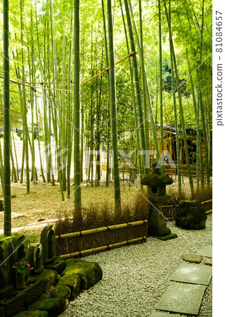 Jogokuji寺竹園 Jogokuji寺竹園 81084657