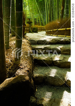 Jogokuji Temple bamboo garden Jogokuji Temple bamboo garden 81084658