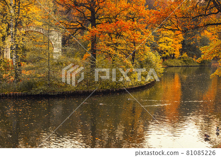 View of Island Arch and pond in Tsaritsyno park on autumn day. Moscow 81085226