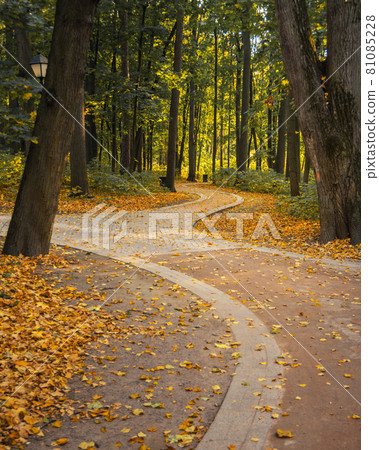 Tsaritsyno park on autumn day. Moscow 81085228
