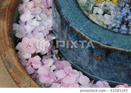Yamazaki Hachimangu Shrine Shunan City Yamaguchi Prefecture Shining spot Hanatemizu 81085245