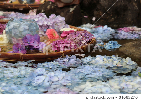 Yamazaki Hachimangu Shrine Shunan City Yamaguchi Prefecture Shining spot Hanatemizu 81085276