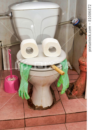 The two rolls of toilet paper on the toilet lid resemble a human head 81086872