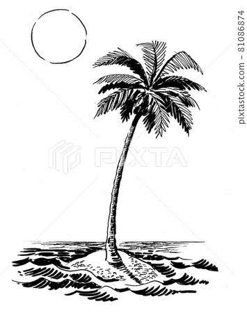 Palm tree on a desert island among the ocean. Ink black and white drawing 81086874