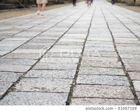 Cobblestone paving stone 81087109