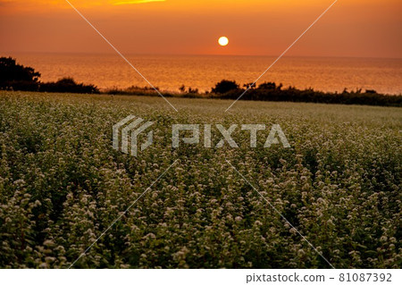 沿著海邊的日落 81087392