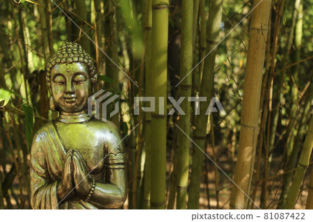 Buddha Statue in bamboo forest park 81087422