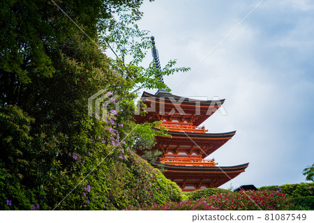 Tower of Shimizu 81087549