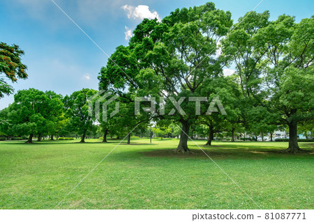 東京江戶川區筱崎公園和江戶川綠地 81087771