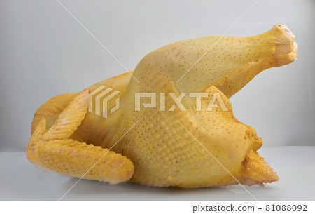 Fresh Organic raw whole chicken carcass free range pasture raised. outdoor life Fresh Organic raw whole chicken carcass free range pasture raised. outdoor life 81088092