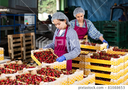 Girl and woman are working in warehouse Girl and woman are working in warehouse 81088653