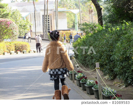 Miyazaki Phoenix Zoo 81089583