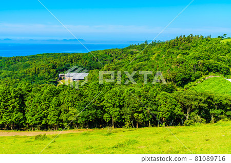 Yamagashira Pasture [Ikitsuki Town, Hirado City, Nagasaki Prefecture] 81089716