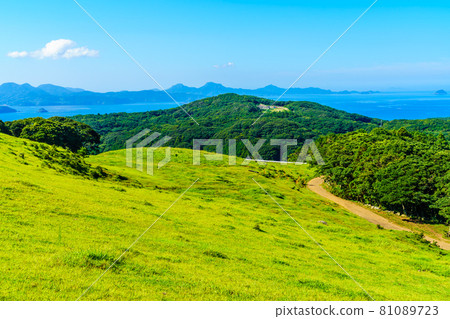 Yamagashira Pasture [Ikitsuki Town, Hirado City, Nagasaki Prefecture] 81089723