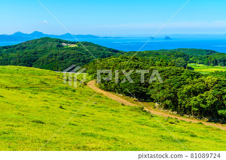 Yamagashira Pasture [Ikitsuki Town, Hirado City, Nagasaki Prefecture] 81089724