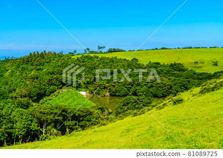Yamagashira Pasture [Ikitsuki Town, Hirado City, Nagasaki Prefecture] 81089725
