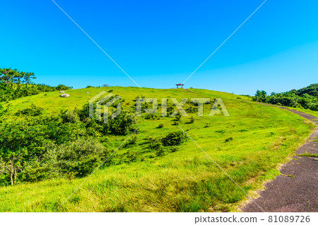 Yamagashira Pasture [Ikitsuki Town, Hirado City, Nagasaki Prefecture] 81089726