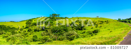 Yamagashira Pasture Panorama [Ikitsuki Town, Hirado City, Nagasaki Prefecture] 81089727