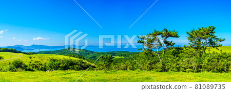 Yamagashira Pasture Panorama [Ikitsuki Town, Hirado City, Nagasaki Prefecture] 81089735