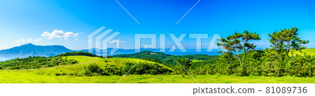 Yamagashira Pasture Panorama [Ikitsuki Town, Hirado City, Nagasaki Prefecture] 81089736