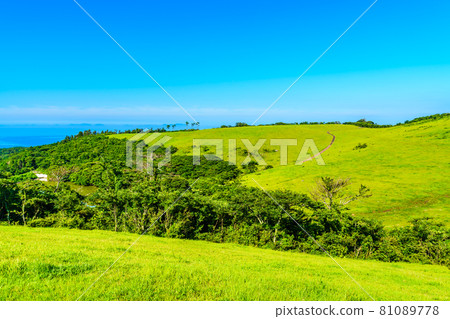 Yamagashira Pasture [Ikitsuki Town, Hirado City, Nagasaki Prefecture] 81089778