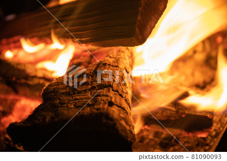 Bonfire burning flame firewood at the camp Bonfire burning flame firewood at the camp 81090093