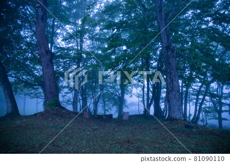 Campsite with early morning fog Campsite with early morning fog 81090110