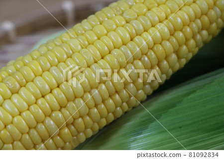 玉米和帶皮的玉米 81092834