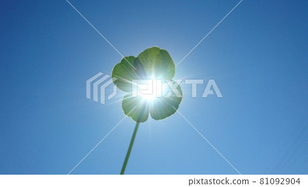 四片葉子的三葉草 81092904