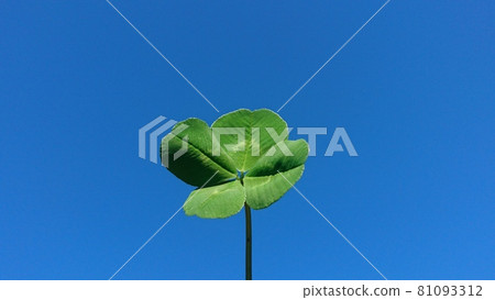 四片葉子的三葉草 81093312