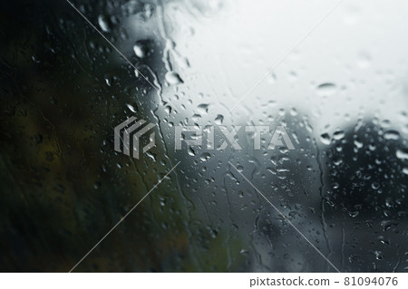 trees and mountains on rainy day 81094076