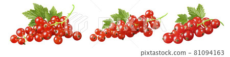 Red currant clusters set isolated on white background 81094163