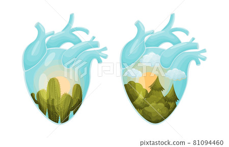 Desert and forest inside human hearts vector illustration 81094460