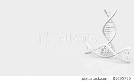 white dna on white background for science or medical concept 3d rendering white dna on white background for science or medical concept 3d rendering 81095790