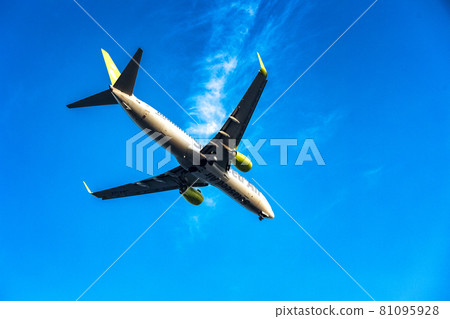 An aircraft landing at Haneda Airport at dusk from Jonanjima 81095928
