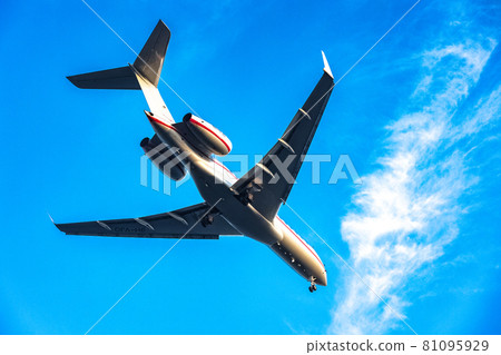 An aircraft landing at Haneda Airport at dusk from Jonanjima 81095929