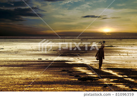 台灣,新竹,象山海灘,獎蟹步道 台灣,新竹,象山海灘,獎蟹步道 81096359