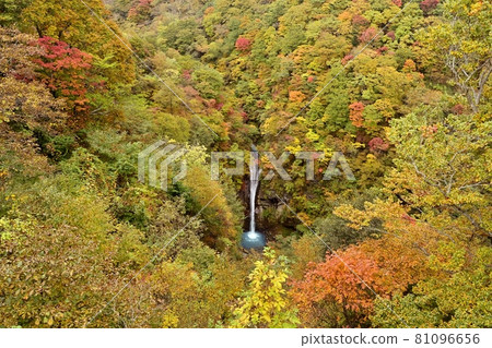 秋葉 那須高原小圓瀑布 81096656