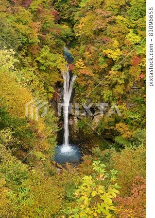 Autumn leaves Nasu Kogen Komadome Falls Autumn leaves Nasu Kogen Komadome Falls 81096658